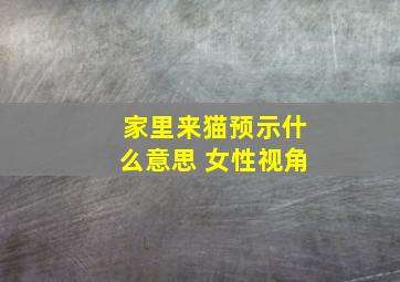 家里来猫预示什么意思 女性视角